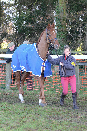 Young Horse Maiden  3