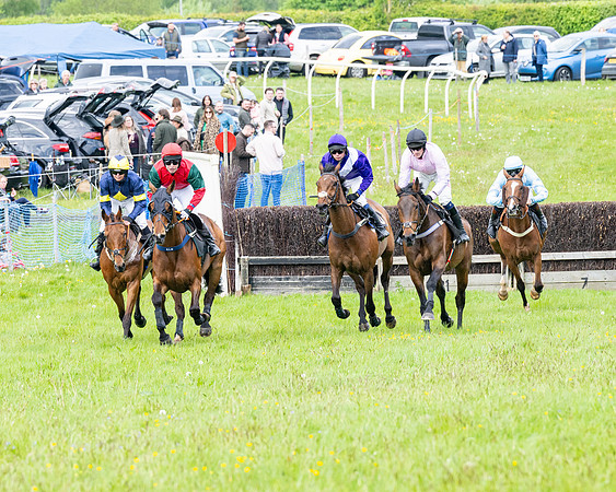 Race 2 - Veteran Horse (7 of 80)