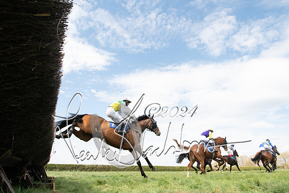 Race 2 - The Elliott of London maiden race (57 of 137)