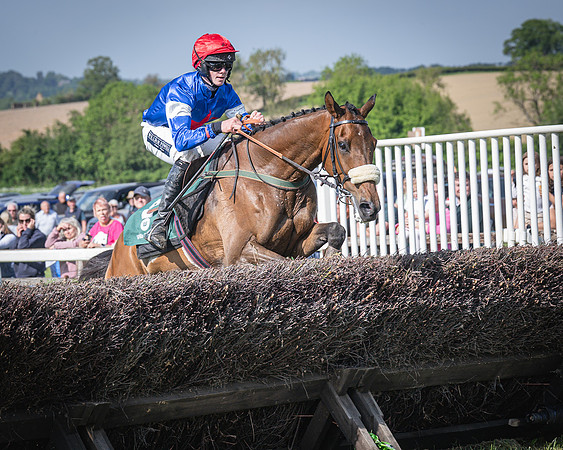 Race 5 - Restricted (77 of 116)