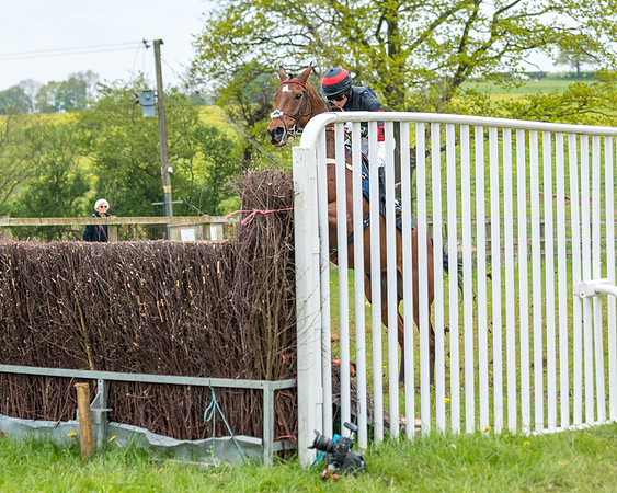 Race 2 - Jockey Club ROR veteran Horse (71 of 104)