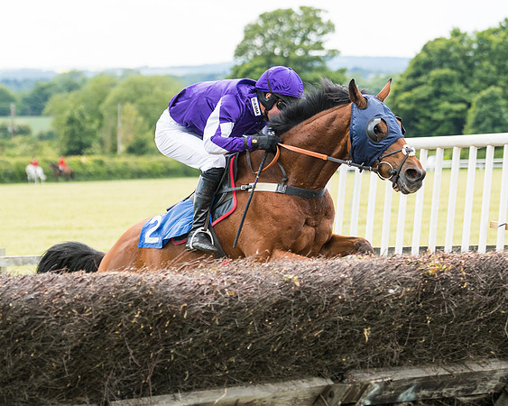 Race 5 - Restricted  (82 of 136)
