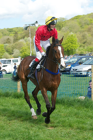 Race 5 -  17