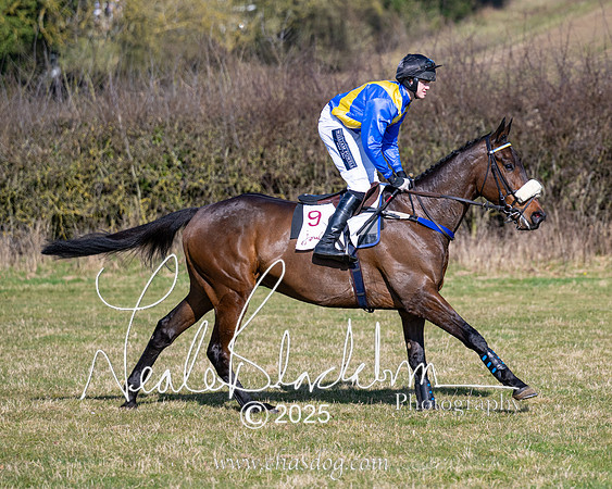 Race 1 - Maiden (58 of 188)