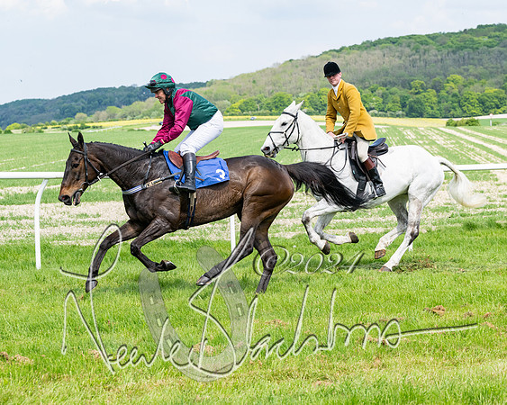 Race 2 - Restricted  (130 of 308)