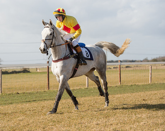 Race 1 - 4-5-6 Maiden (60 of 119).jpg