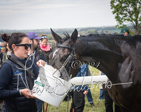 Race 2 - The Elliott of London maiden race (127 of 137)