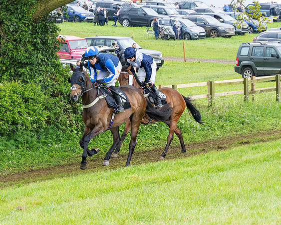 Race 7 -  Maiden Conditions (10 of 135)