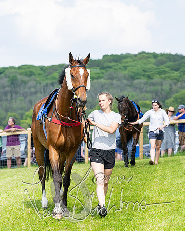 Race 3 - Ladies Open  (10 of 133)