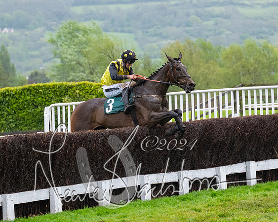 Race 5 - Mares Open  (59 of 129)