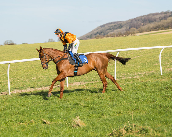 Race 3 - Ladies Open (23 of 156)