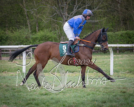 Race 7 - The Jockey Club maiden race for Mares and Fillies only (19 of 96)
