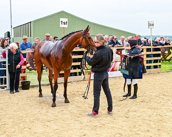 Race 2 - Jockey Club ROR veteran Horse (97 of 104)
