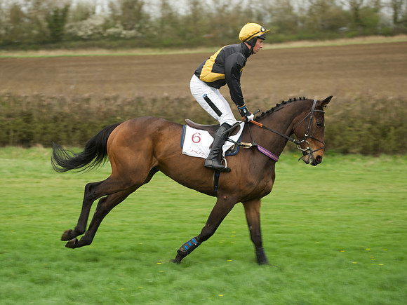 Race 1 Members - 24