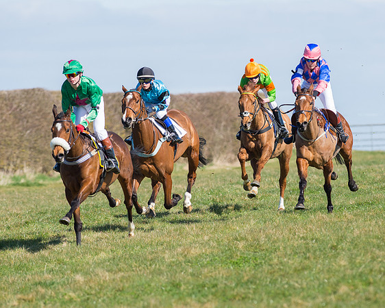 Oakley Ponies (74 of 96).jpg