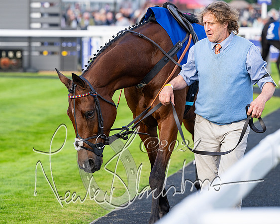 Race 4 - Stratford Foxhunters (10 of 145)