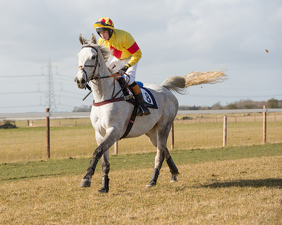 Race 1 - 4-5-6 Maiden (59 of 119).jpg