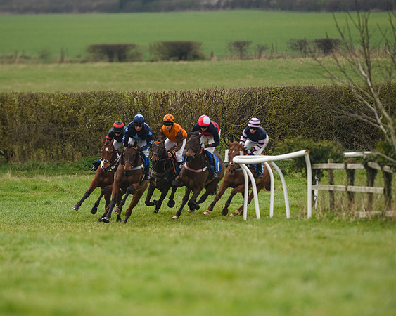 Race 2 - Veteran Horse (44 of 153)