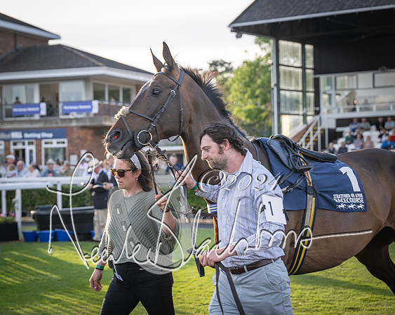 Race 5 - tipsterreviews.co.uk handicap (10 of 107)