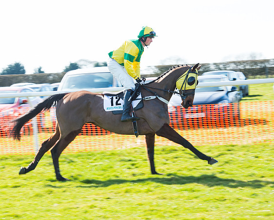 Race 1 - Open Maiden Div 1 (12 of 88).jpg