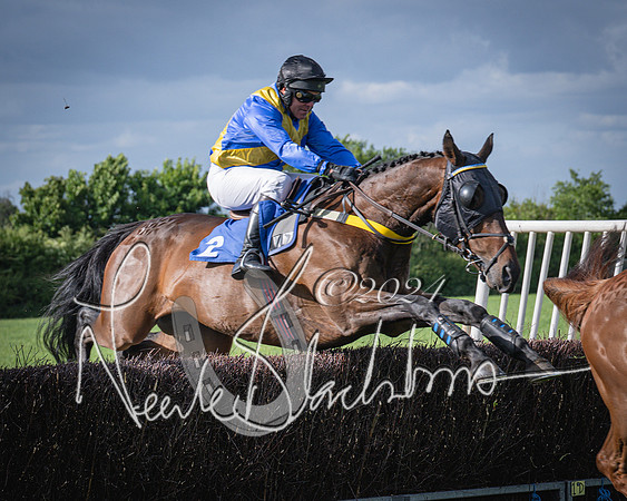 Race 6 - Thorn Plant Hire Maiden Race (51 of 129)