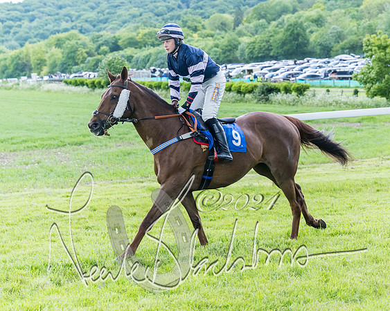 Race 3 - Conditions (108 of 367)