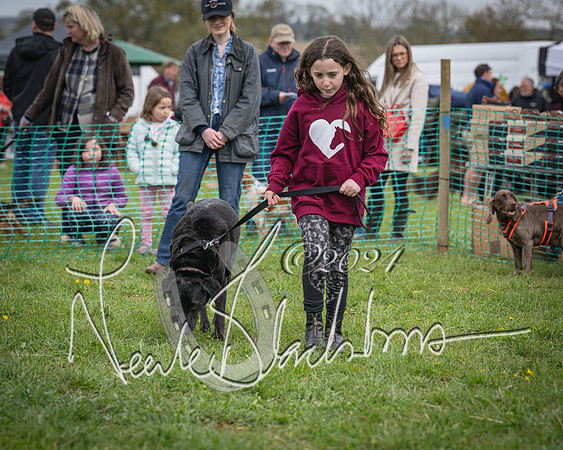 Bicester - Dog Show (39 of 106)