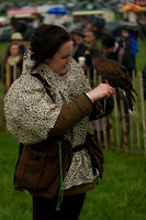 3 - CA Birds of Prey 7