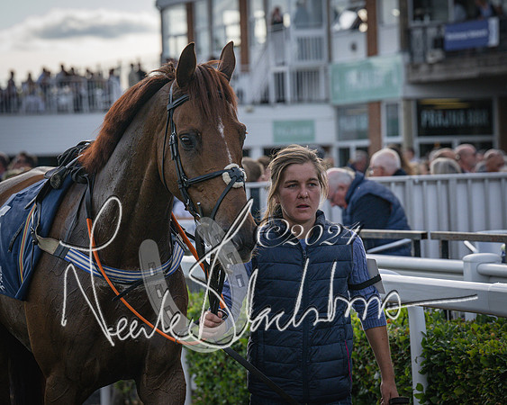 Race 3 - The pointtopoint.co.uk champion novices’ Hunter Chase (29 of 140)