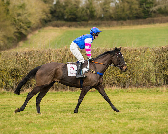 Race 2 - Open Maiden (4 of 128)