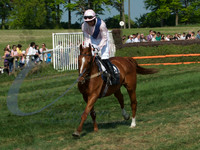 picture-12