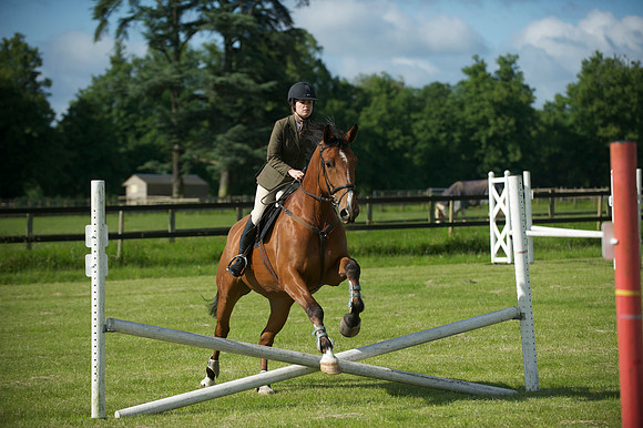 SOHS PC Summer Show at BCA 17th June 2012