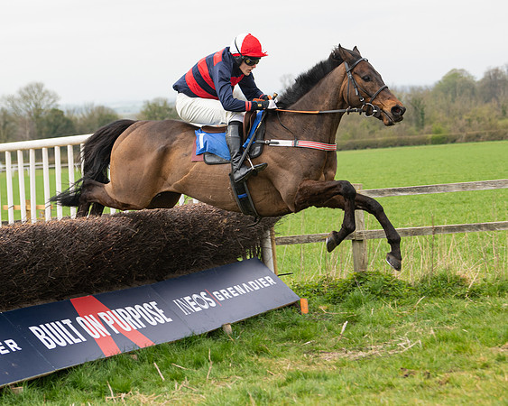Race 2 - Veteran Horse (115 of 153)