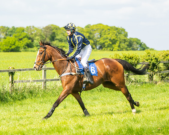 Race 4 - Ladies Open  (10 of 79)