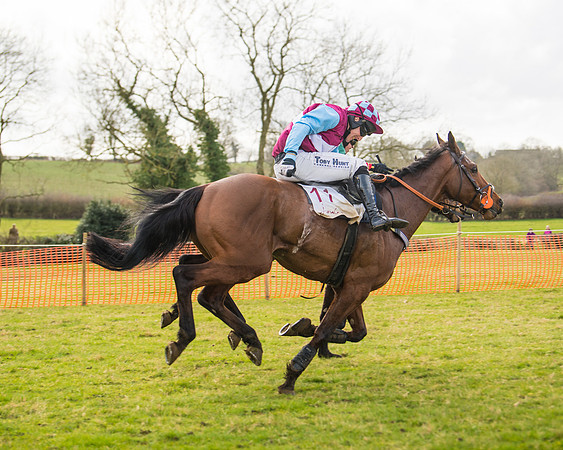 Race 3 - Restricted  (70 of 100)