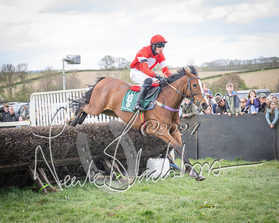 Race 2 - Tattersalls Cheltenham 4 year old Maiden (52 of 85)