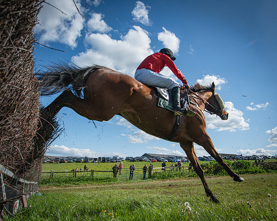 Race 5 - F N Pile and Sons PPORA Novice Riders (63 of 151)