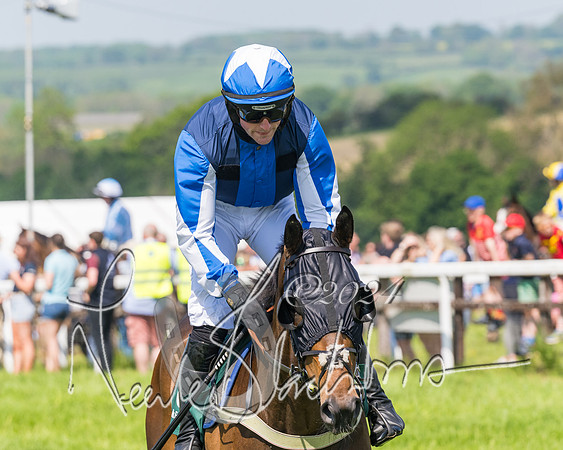 Race 2 - The Maiden  (53 of 442)
