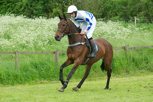 Race Six 1