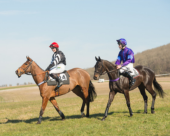 Race 1 Div 1 - 2M4F Maiden (50 of 117).jpg