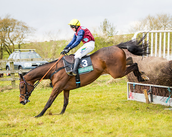 Race 5 - Restricted  (56 of 118)