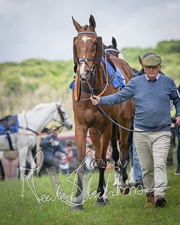 Race 2 - PPORA Members conditions race for Novice riders (17 of 127)
