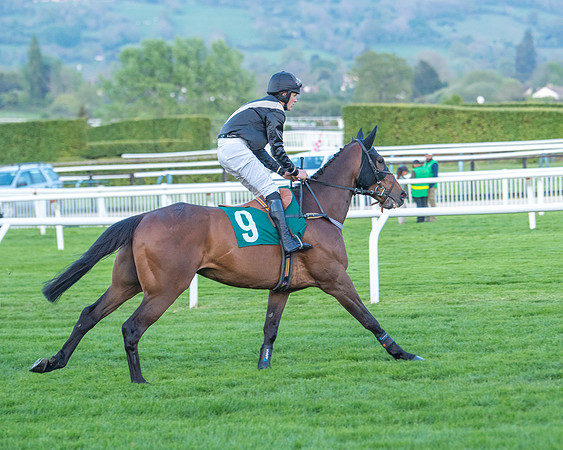 Race 7 - Glos Hussars  (62 of 245)