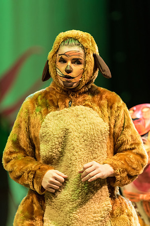 Lion King Saturday (121 of 201).jpg