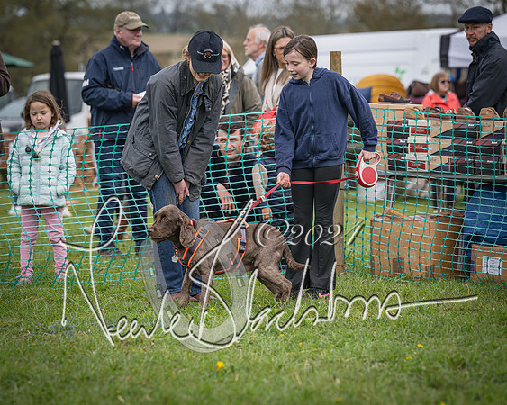 Bicester - Dog Show (40 of 106)