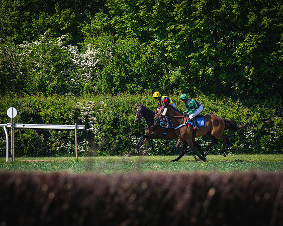 Race 3 The College and County Ladies Open Race (59 of 122)