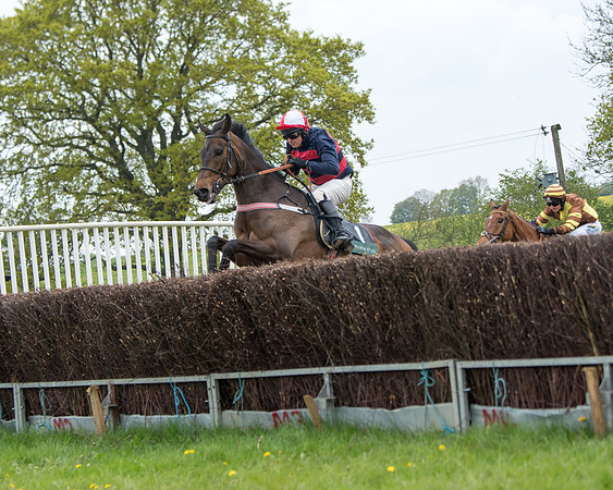 Race 2 - Jockey Club ROR veteran Horse (47 of 104)