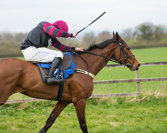 Race 6 - The Restricted Race (136 of 200)