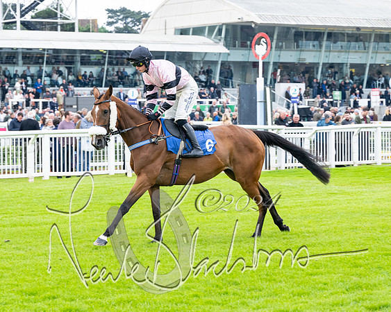 Race 3 - John Corbet Cup  (22 of 108)