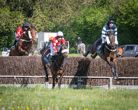 Race 5 - F N Pile and Sons PPORA Novice Riders (41 of 151)